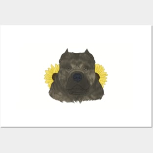 Brindle American Bully with Sunflowers Posters and Art